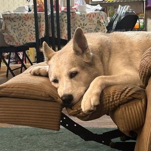 Meet your Posher, Nora